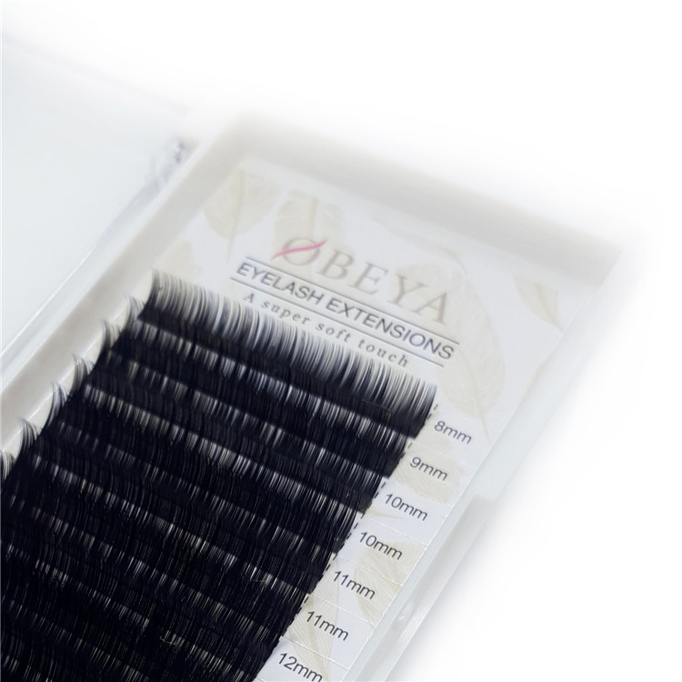 Russian Volume Eyelash Extensions 0.05mm 0.07mm Mix Tray 6-16mm Wholesale Price FM011